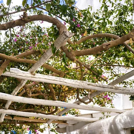 Casa vacanze K&k @mykonos Town Mykonos Town